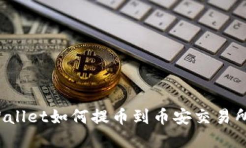  TPWallet如何提币到币安交易所详解